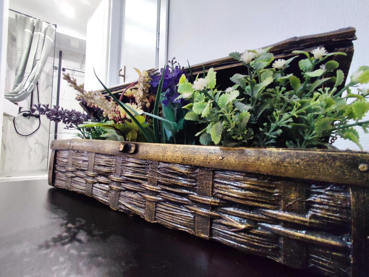 Palmeira Studio Preveza Ngoại thất bức ảnh